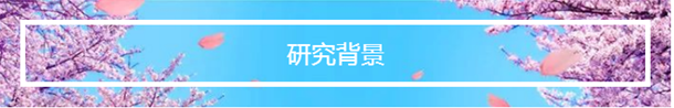 QQ 截圖 20191204135851