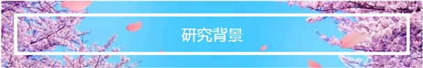 QQ 截圖 20191204141514