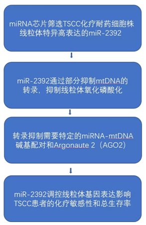 QQ 截圖 20191204134948
