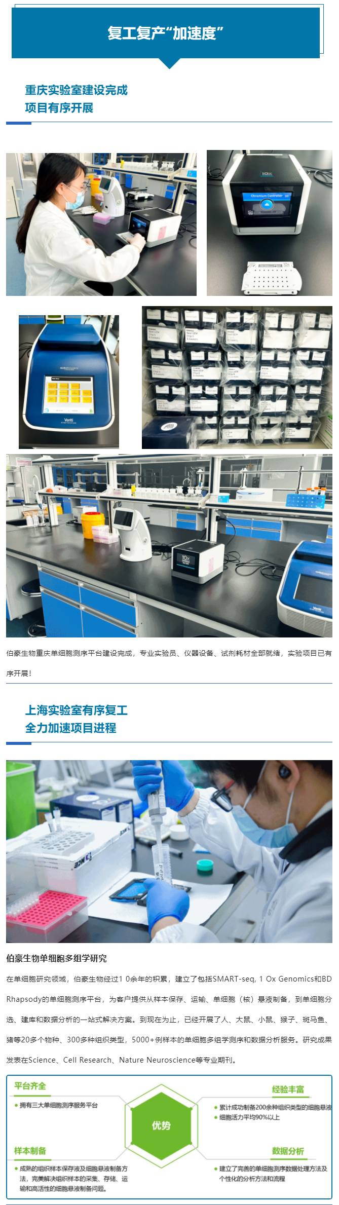 上海重慶齊頭并進，全力以“復”跑出復工復產“加速度”
