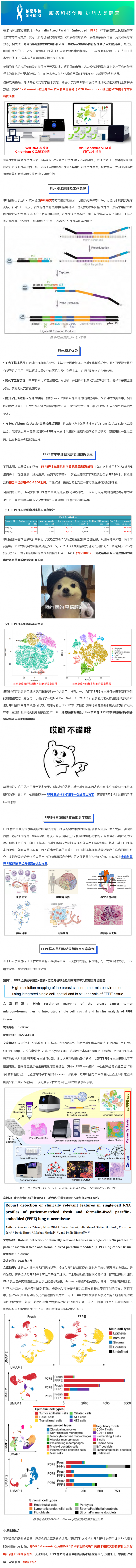 用證據說話——實測 FFPE 樣本進行單細胞測序狠好使！