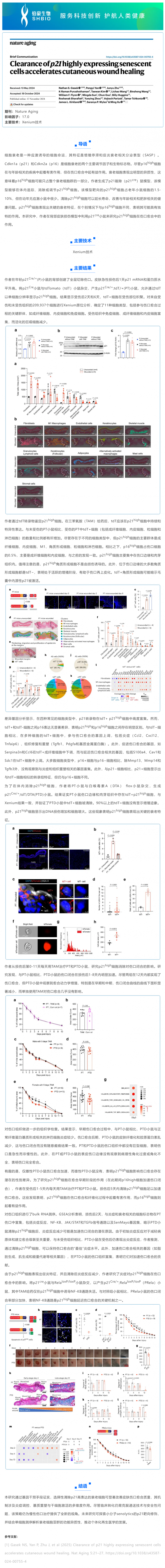 單細胞空間原位檢測技術_清除高表達 p21 基因的衰老細胞加速皮膚傷口愈合