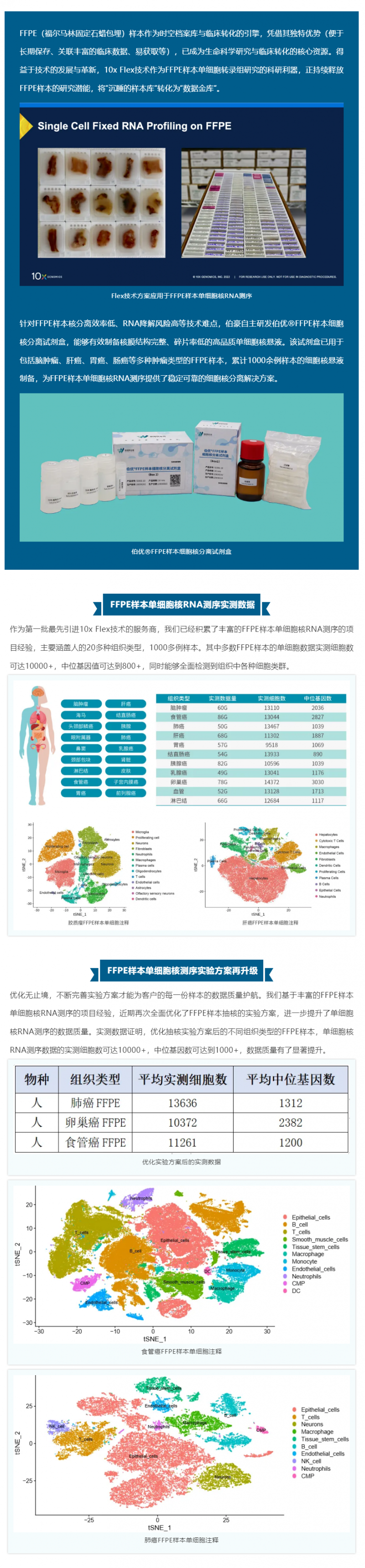技術突破 _ FFPE 樣本產出高質量單細胞數據的秘籍