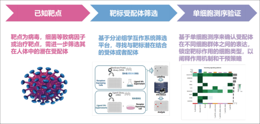 應用案例一